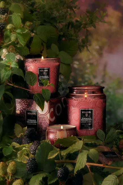 Voluspa Classic Boxed Candle 60T Foraged Wildberry duftlys 2