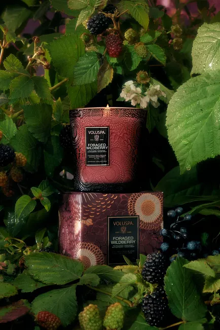 Voluspa Classic Boxed Candle 60T Foraged Wildberry duftlys
