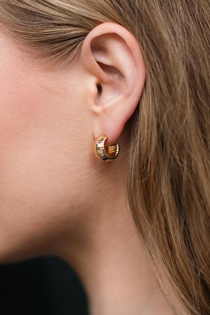 Anine Bing Small Coil Hoop Earrings Gold øreringer