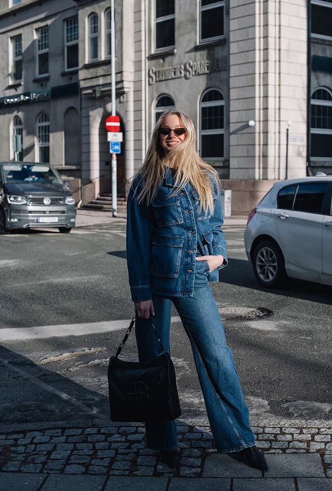 Anine Bing Briley Jean Artic Blue jeans 4