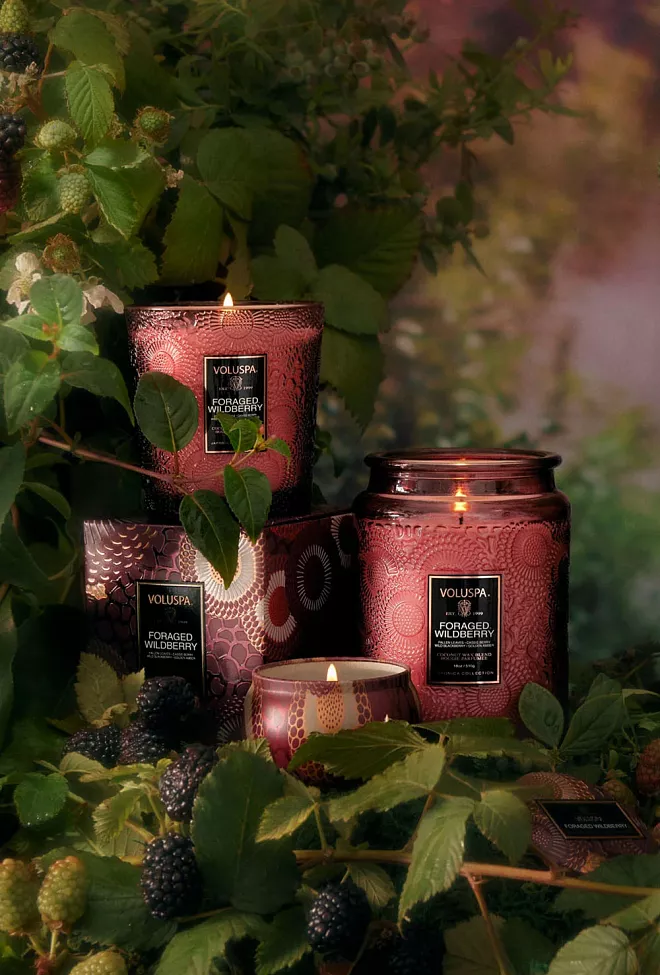 Voluspa Classic Boxed Candle 60T Foraged Wildberry duftlys 2