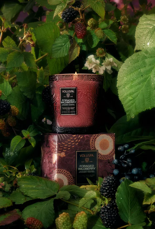Voluspa Classic Boxed Candle 60T Foraged Wildberry duftlys