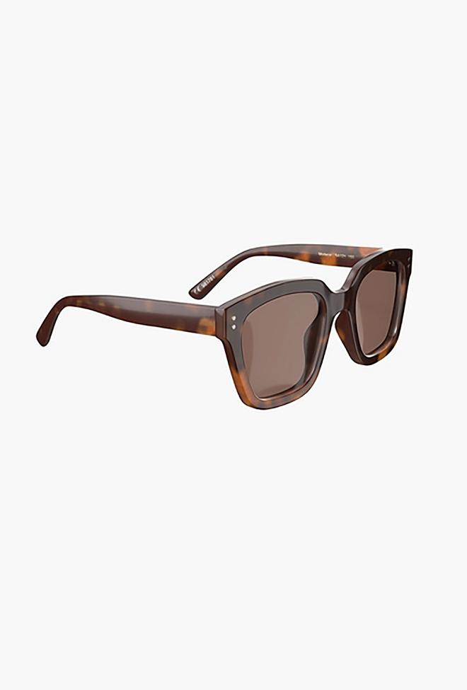 Corlin Eyewear Modena Tortoise Brown solbriller 2